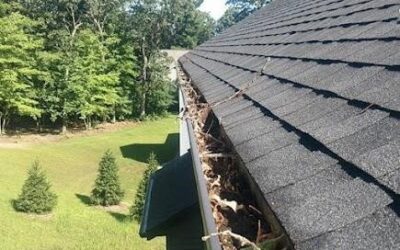 Importance of Regular Gutter Cleaning Protecting Your Dublin Home